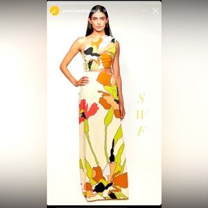 S/W/F Asymmetric Cut Out Maxi Dress, size small, NWT